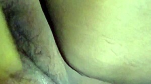 New Orleans style music with a pretty pussy compilation