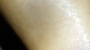 I compiled pretty pussies with New Orleans music.