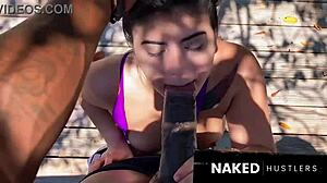 Dog Walking Her Pussy