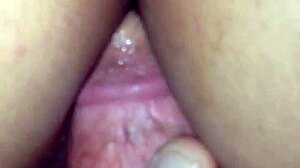 Novinha 19 Do Mercado Supermarket