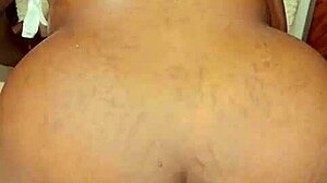 sundaydogood614 update 421 video from aug 21 2024