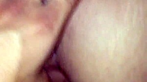 Novinha 19 Do Mercado Supermarket