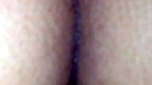 Novinha 19 Do Mercado Supermarket