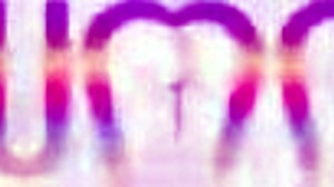 P-Sluts Vol 64 Starring Pet Larissa Leite Enjoys Dap With Big Black Cocks