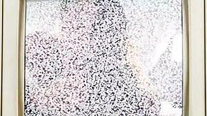 my face gets blasted with cum by stefania mafra backstage