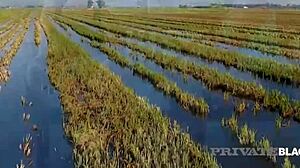 Bambi Bella In Intense Doggystyle 3some Outdoor With Cum On Tits