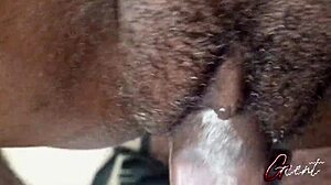 i love extreme close-up pussyfucking with big black cock creampie