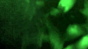 the forbidden stuff really turns me on, you know?