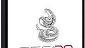 Big Debut! Mini Trainer Makes Desperate BBW Shake Her Ass!