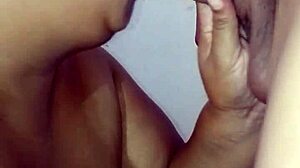 chupando gostoso bbw wife