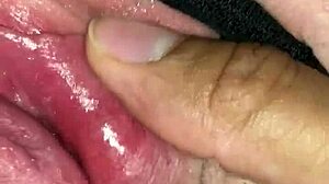 Perfect Dick In Perfect Pussy