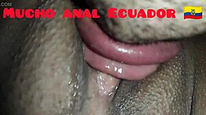 Licking Ass and Vagina of My Ecuadorian Wife in Doggy Position