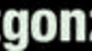 I had an intense anal session with Angelina from Ass Traffic.