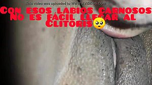 Licking Ass and Vagina of My Ecuadorian Wife in Doggy Position