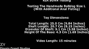 beautiful blonde ria sunn anal fisted with dildo