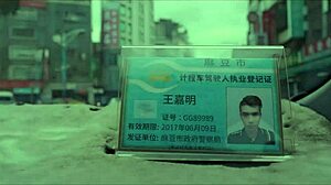 asian model su yu tang asks for cum in stockings