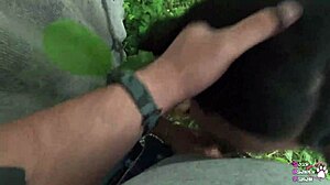 I was almost castrated for indulging with the neighbor's wife near the fence