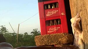 I finger my lover's pussy hard until she cums, then lick her fingers clean.