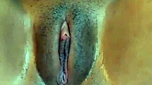 Cute Jamaican, wanna rub that fat cameltoe pussy with me tonight?