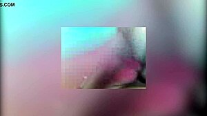 Hey, Watch This Blonde Sucking Cocks on the Bed