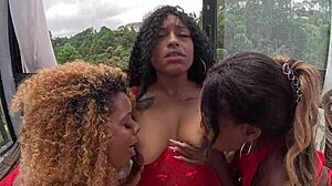 My cute friends taught me wild toy tricks