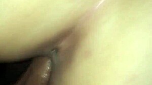 Mexican Fuck in Hotel Room