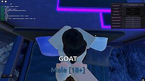 Getting fucked by a hot girl from Roblox, damn hot