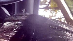 milfycalla shorts fetish compilation - latina cum-slut blows with big-ass!