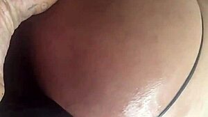 Sexygirlstephaniejames dominates as champ in sexy trans action! 💪