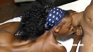 yo, safari tiger takes on bbc gangbang nut session!