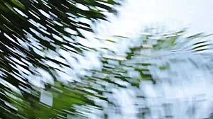 Horny African Bbw Wife Takes Monster Cock In The Bush