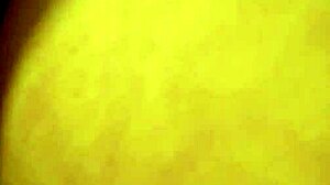 Lady Medusa Fucks Tutor Doggy Style First Time