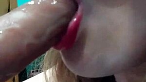 gemmagomory update 4 lv 0 20231208191657 feb 20 2024