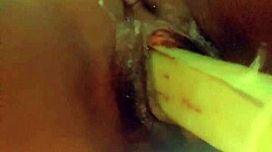 Veggie Adventures With Anal And Pussy Play?