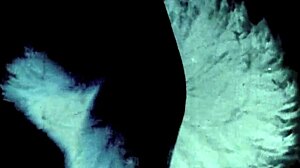 Dark Lantern Presents Vintage Porn Classics