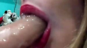 gemmagomory update 4 lv 0 20231208191657 feb 20 2024