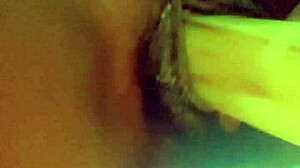 Veggie Adventures With Anal And Pussy Play?