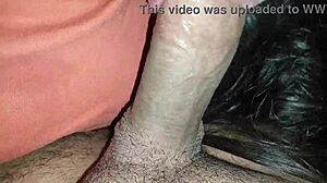 Latina Pornstar Loves Semen In Mouth After Sucking