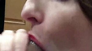 gemmagomory update 4 lv 0 20231208191657 feb 20 2024