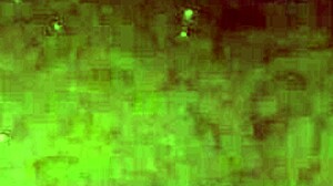 Can You Handle Pissing in the Bathtub Pool Fun?