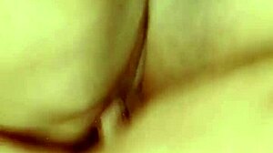 Sundaydogood614's Shaved Pussy Update On July 30!