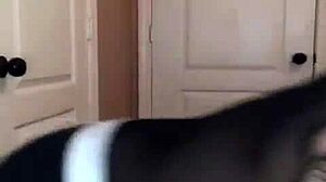 Bigo live featuring exposed nipples