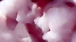 Cyno enjoys a bubble bath alone 3