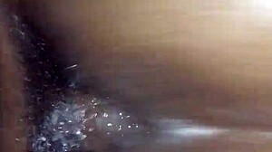 super wet amateur scene with rose