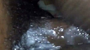 super wet amateur scene with rose