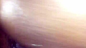 super wet amateur scene with rose