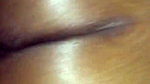 super wet amateur scene with rose