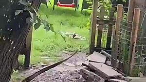 A chicken feeding station, how cool is that - tattoos and inked girls