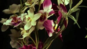 Nice woman teaches how to give anal sex