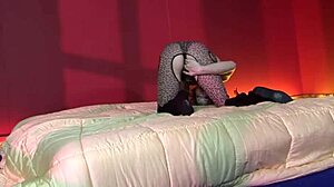 Gia Jakarta jackhammered hard until cum hits her pierced belly